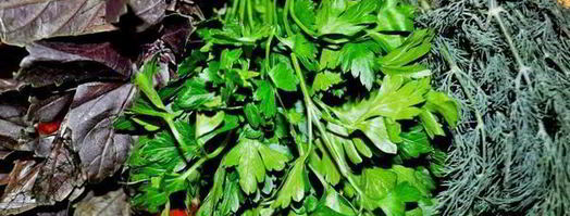 рулеты из говядины прованские огурчики. Шаг 3