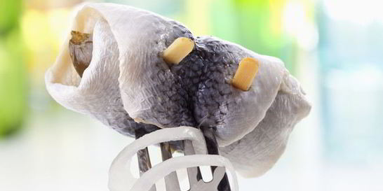 Рыбные рулеты из огурцов