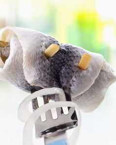 Рыбные рулеты из огурцов