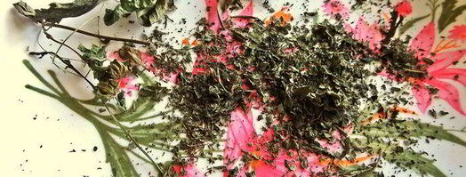 сырные рулетики с киви. Шаг 3