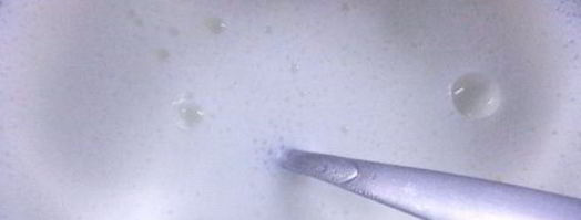 сыр филадельфия. Шаг 3