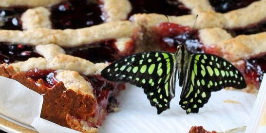 Линцский тарт