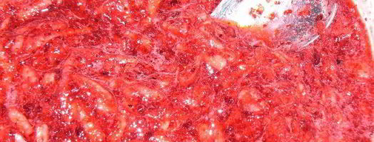 тарт брусничный с яблоками. Шаг 6