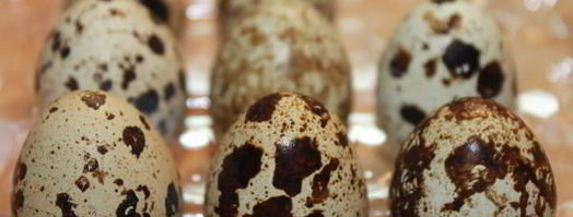 тарт с капустой и перепелиными яйцами. Шаг 5